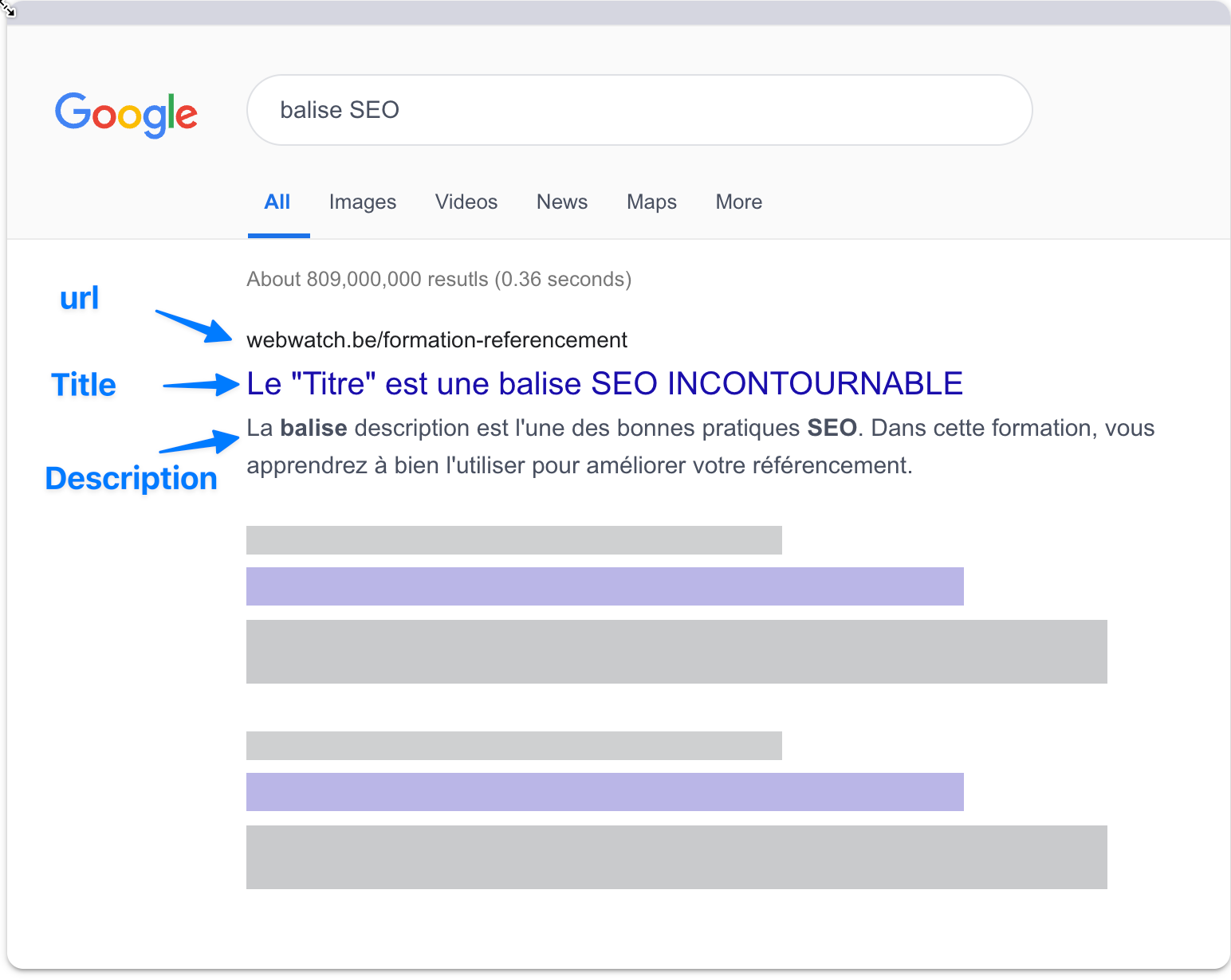 formation référencement web: les balises seo